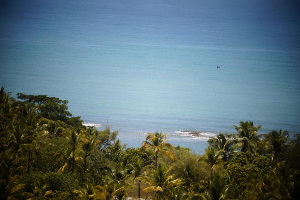 Tubarao